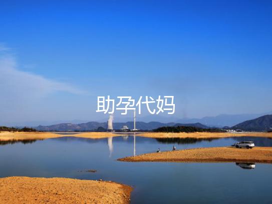助孕代妈