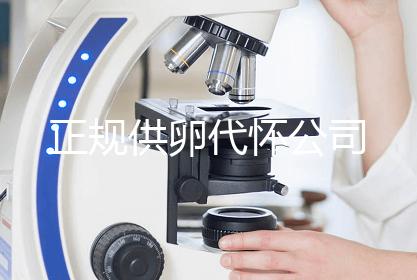 正规供卵代怀公司